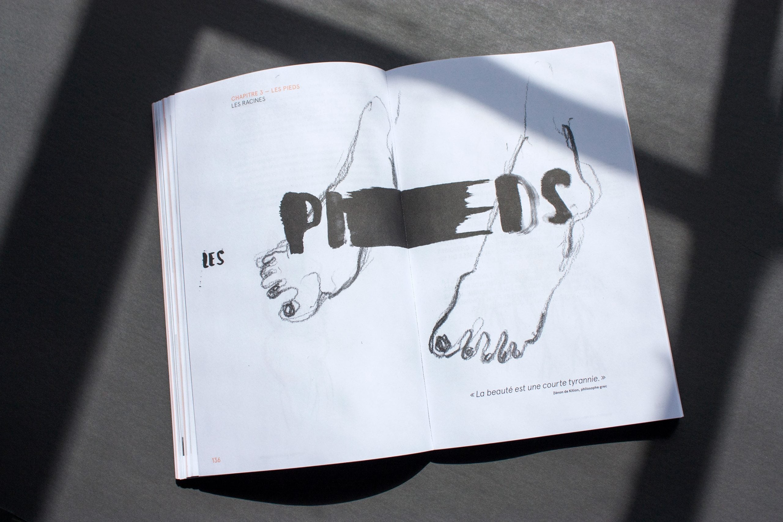 La revanche des moches