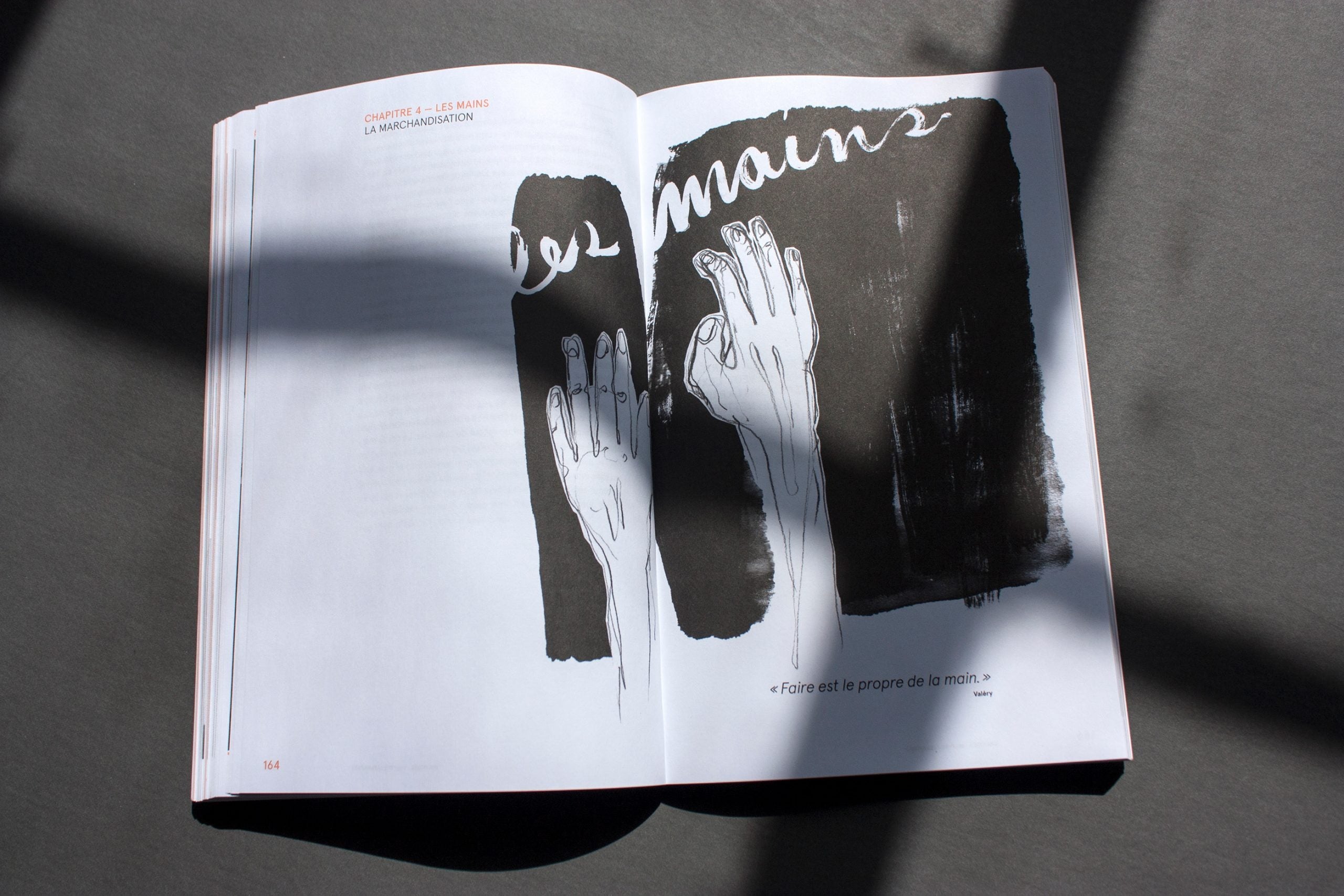 La revanche des moches