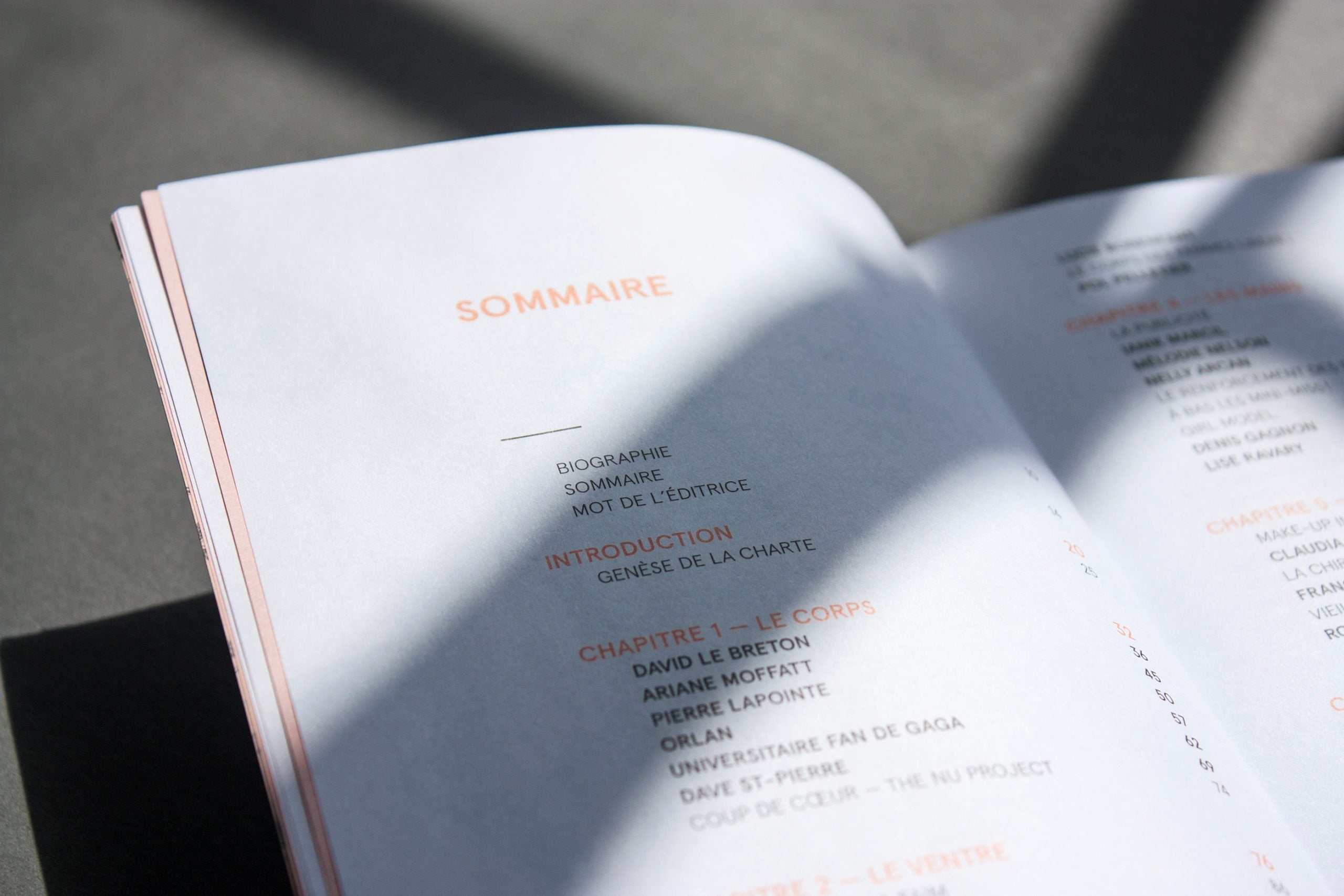 La revanche des moches