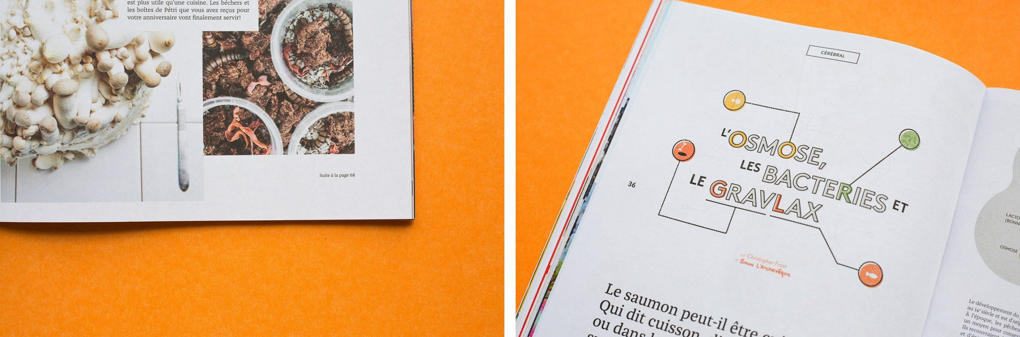 Bouffe magazine - No. 1