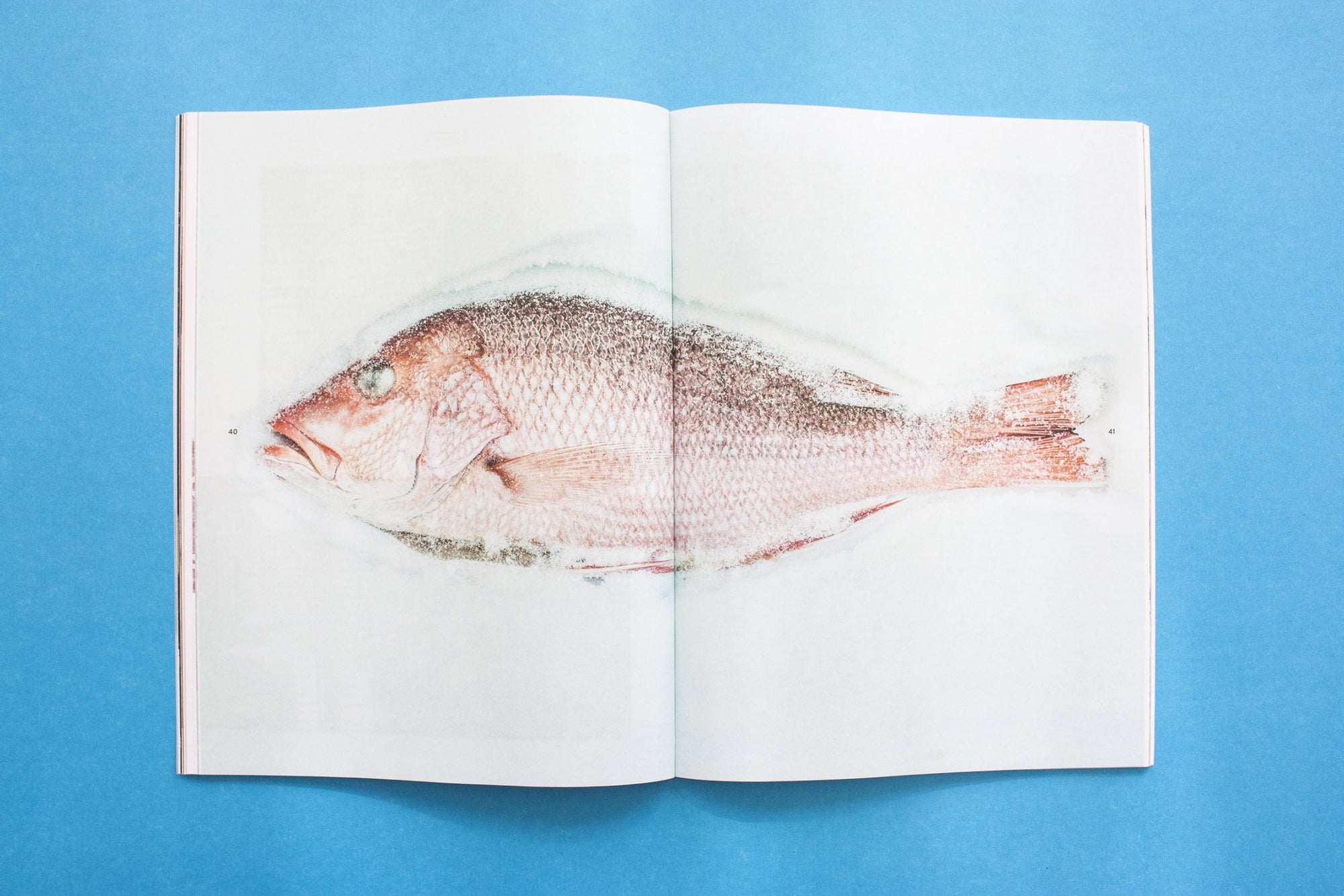 Bouffe magazine - No. 3