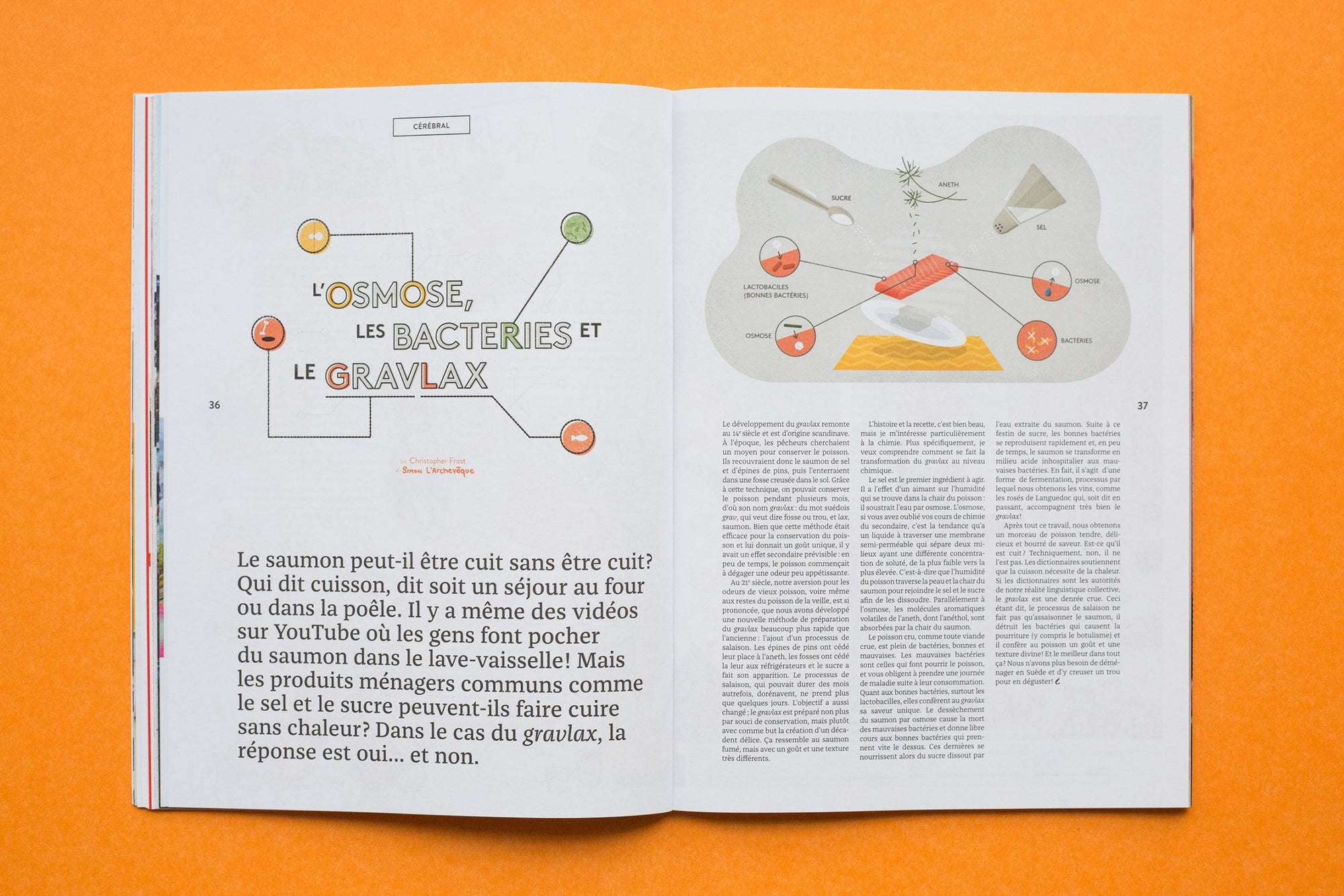 Bouffe magazine - No. 1