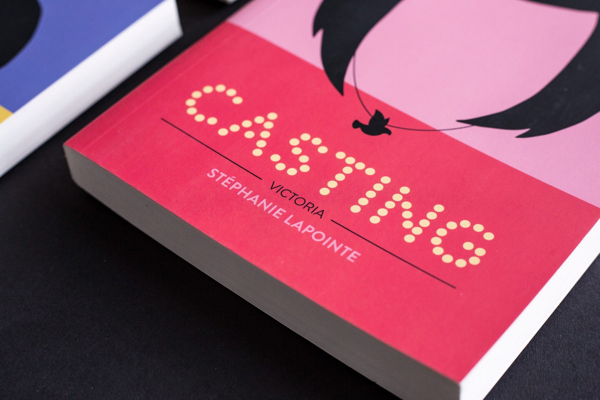 Casting - Série de romans